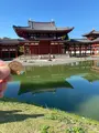 平等院鳳凰堂の写真_472981