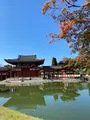 平等院鳳凰堂の写真_472982