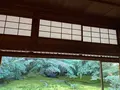 瑠璃光院の写真_473064