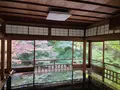 瑠璃光院の写真_473065