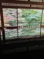 瑠璃光院の写真_473068