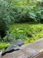 瑠璃光院の写真_473072