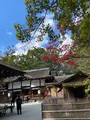 河合神社の写真_473077