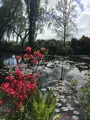 クロード・モネ財団（Claude Monet）の写真_474413