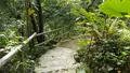 ビオスの丘の写真_474474