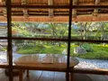 パンとエスプレッソと嵐山庭園の写真_475192