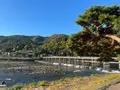 渡月橋の写真_475210