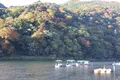 渡月橋の写真_475212