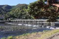 渡月橋の写真_475213