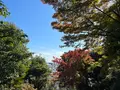 建勲神社の写真_475257