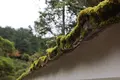 銀閣寺(東山慈照寺)の写真_475283