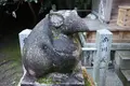 大豊神社の写真_475290