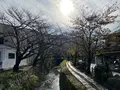 大豊神社の写真_475291