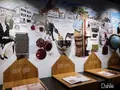 House of Läderach | Schweiz | Biltenの写真_475504