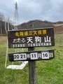 小樽天狗山神社の写真_475642