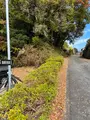 腰巻地区箱根旧街道遺跡の石畳の写真_476208