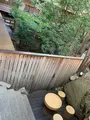 大和屋本店の写真_476240