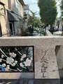 時の鐘の写真_476458