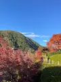下呂温泉合掌村の写真_476490