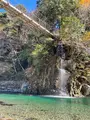 いわなの里峡の写真_476501