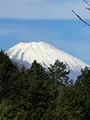道の駅箱根峠の写真_476587
