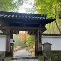 地蔵院（竹の寺）の写真_477087
