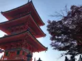 清水寺の写真_477090