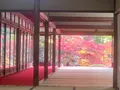 清水寺の写真_477091