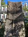 金刀比羅神社の写真_477199