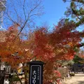こばやし 本店の写真_477269