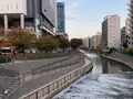 スカイツリーカフェ フロア340の写真_477295