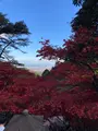 大山寺の写真_477327