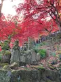 大山寺の写真_477331