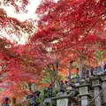 大山寺の写真_477335