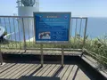 室戸岬灯台の写真_477545