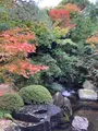 足立美術館の写真_477636
