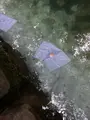 八重垣神社の写真_477652