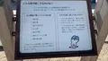 うさぎ耳集音器の写真_477768