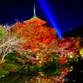 清水寺の写真_477822