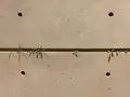 ベネッセハウス ミュージアムの写真_477832