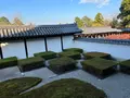 東福寺の写真_478382