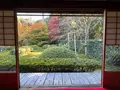 御寺泉涌寺 別院 雲龍院の写真_478392