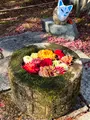 勝林寺の写真_478411
