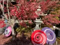 勝林寺の写真_478413