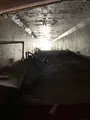 ぐるっと松江堀川めぐりの写真_478460