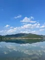 田ノ浦港の写真_478579