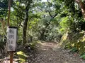 旧五輪教会堂の写真_478582
