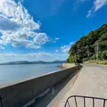 田ノ浦港の写真_478583
