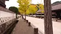殿町掘割の写真_478797