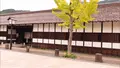 殿町掘割の写真_478798